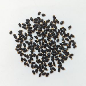 Acacia provincialis f. blue-green leaf seeds x25