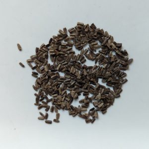 Leonurus japonicus (Chinese Motherwort) seeds x100