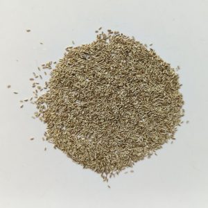 Matricaria chamomilla (German Chamomile) seeds x1000